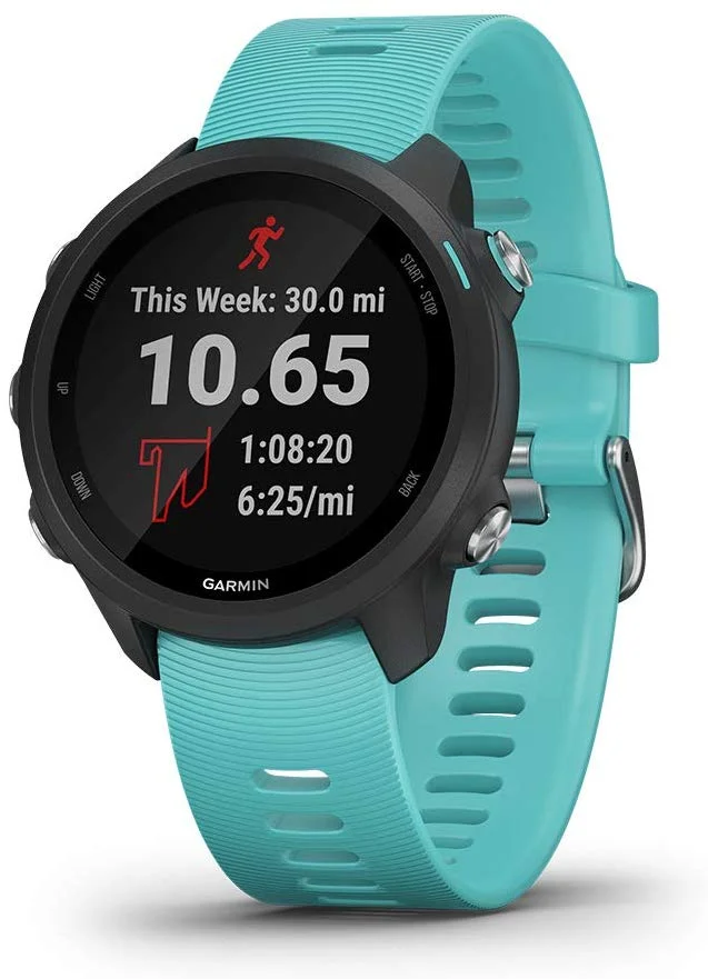 Garmin Forerunner 245 Music Specifications, Features and Price