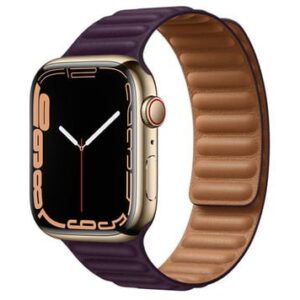 Apple Watch Series 7 (41mm) (Cellular) Full Specifications