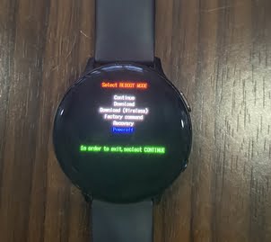 How to Reset a Galaxy Watch Active2