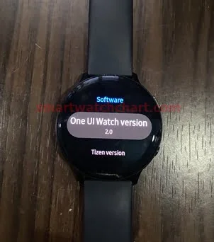 One ui watch discount 2.0