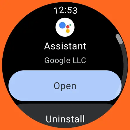 Google Assistant successfully installed