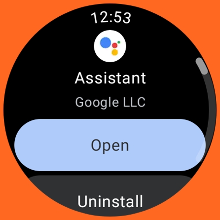 Google Assistant successfully installed